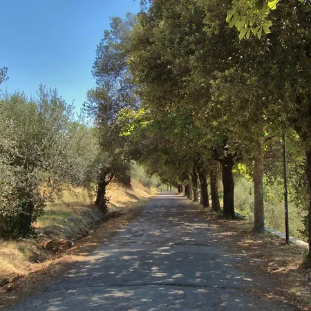 Casa Sofia Nel Castello Torricella (Magione)